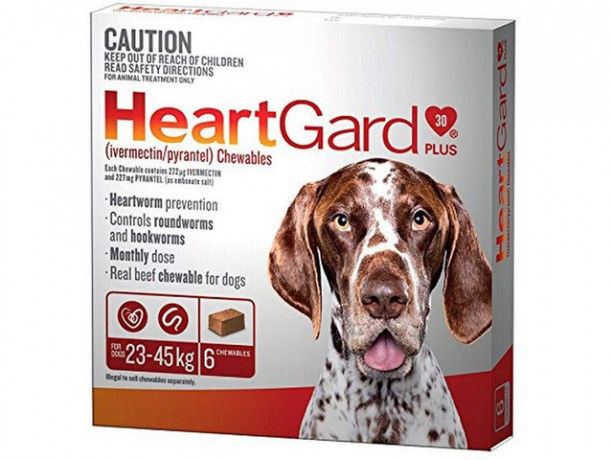 heartgard-plus-heartworm-and-worm-control-chewable-6-doses